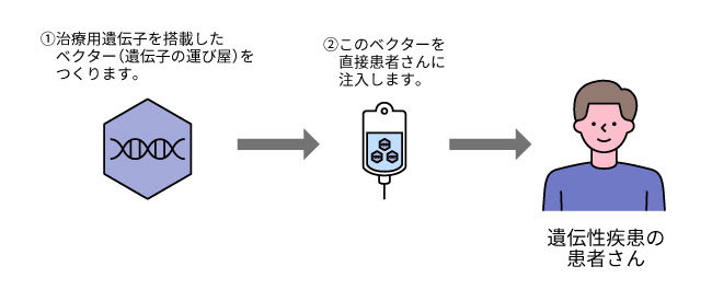 ウイルスベクターを直接体内に投与する方法