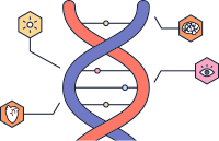 遺伝⼦治療の例