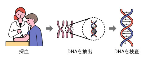 遺伝学的検査(DNA検査)